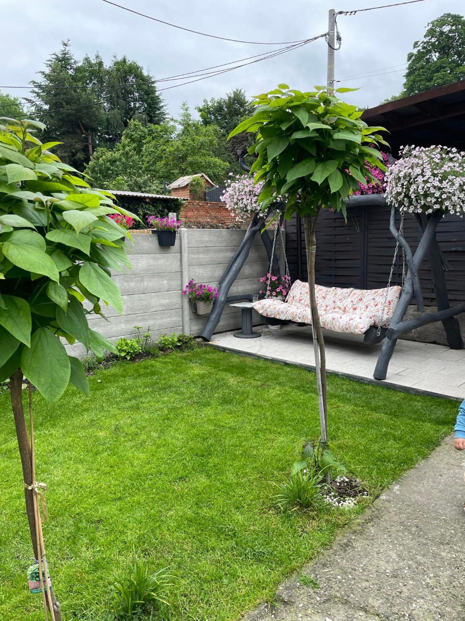 Apartament U Danusi Złoty Stok Exterior foto